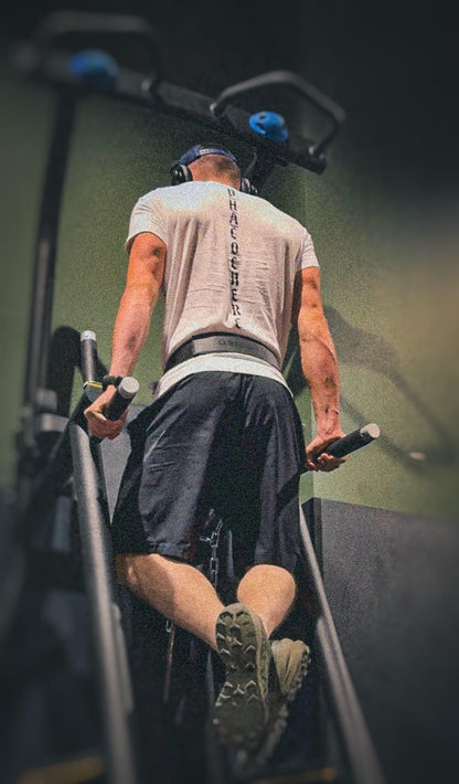 T-shirt Coton LE PHACOCHERE